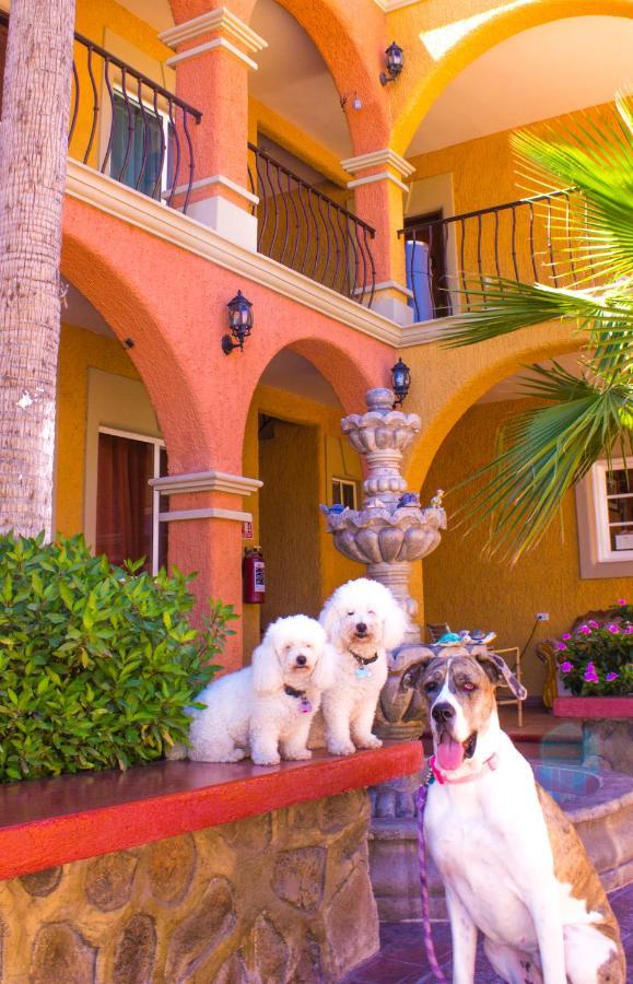 Hotel Angra Loreto  Exterior photo